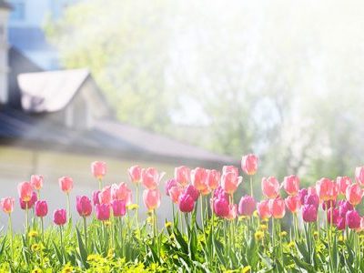 The Housing Market Will “Spring Forward” This Year!