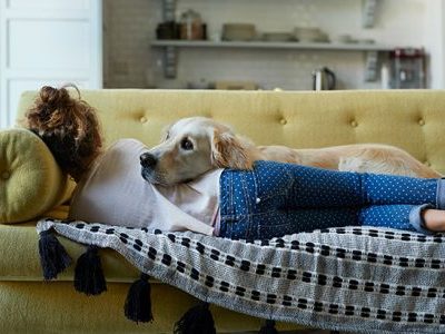 Why Pet-Friendly Homes Are in High Demand